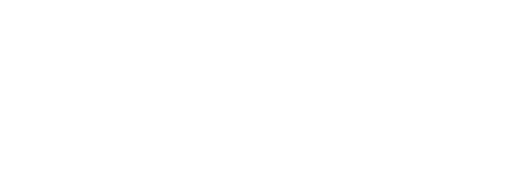 BirdDog